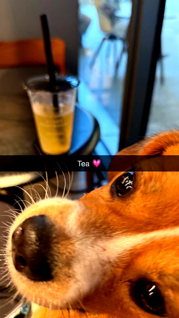 kydoddss image ~ Altpins