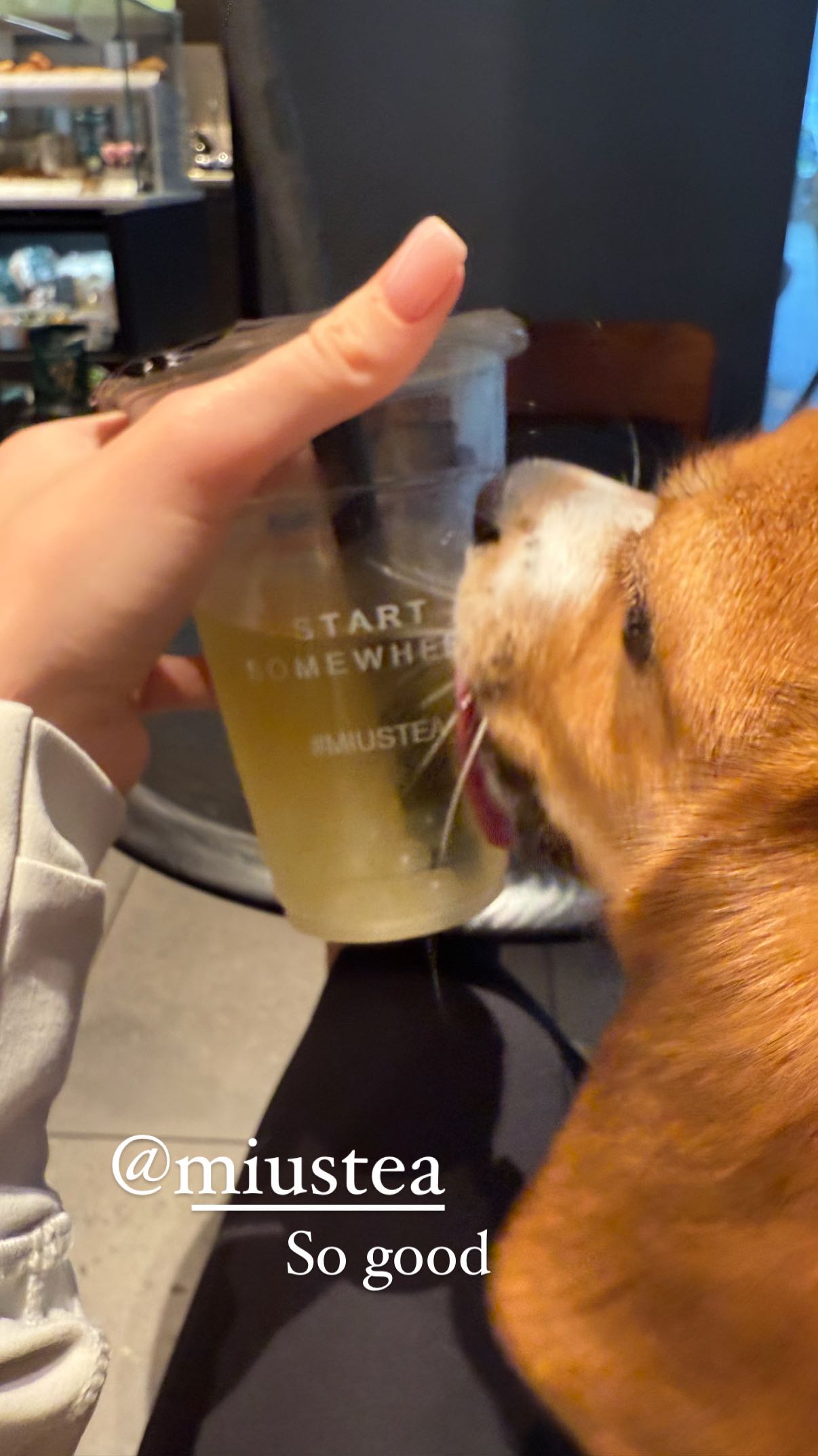 kydoddss snapchat image archive image