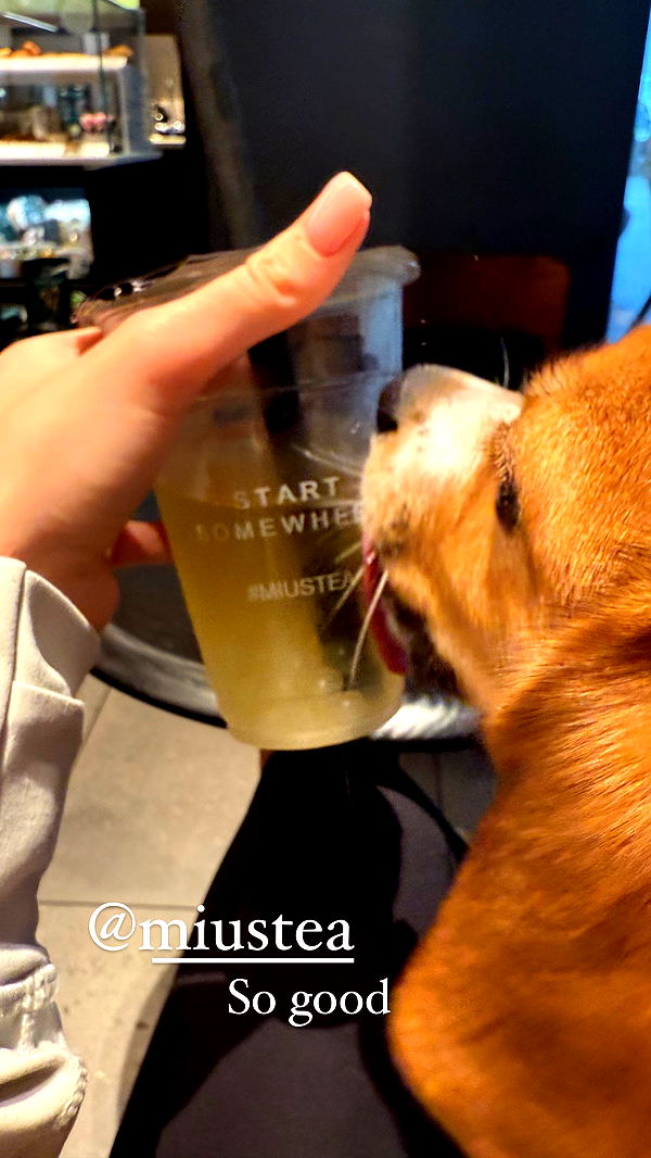 kydoddss image ~ Altpins