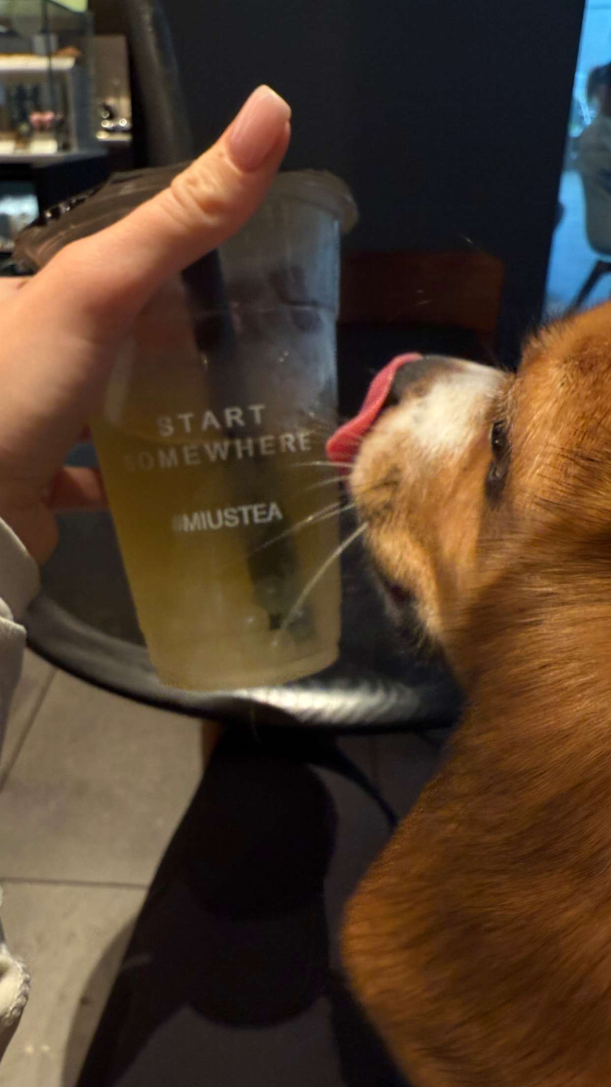 kydoddss snapchat image archive image