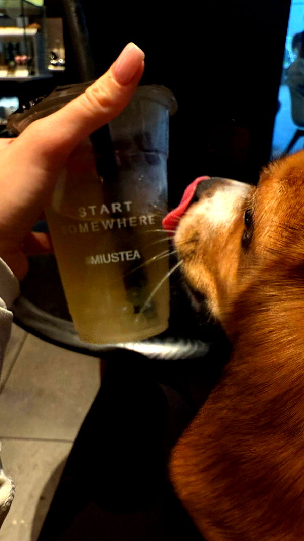 kydoddss image ~ Altpins