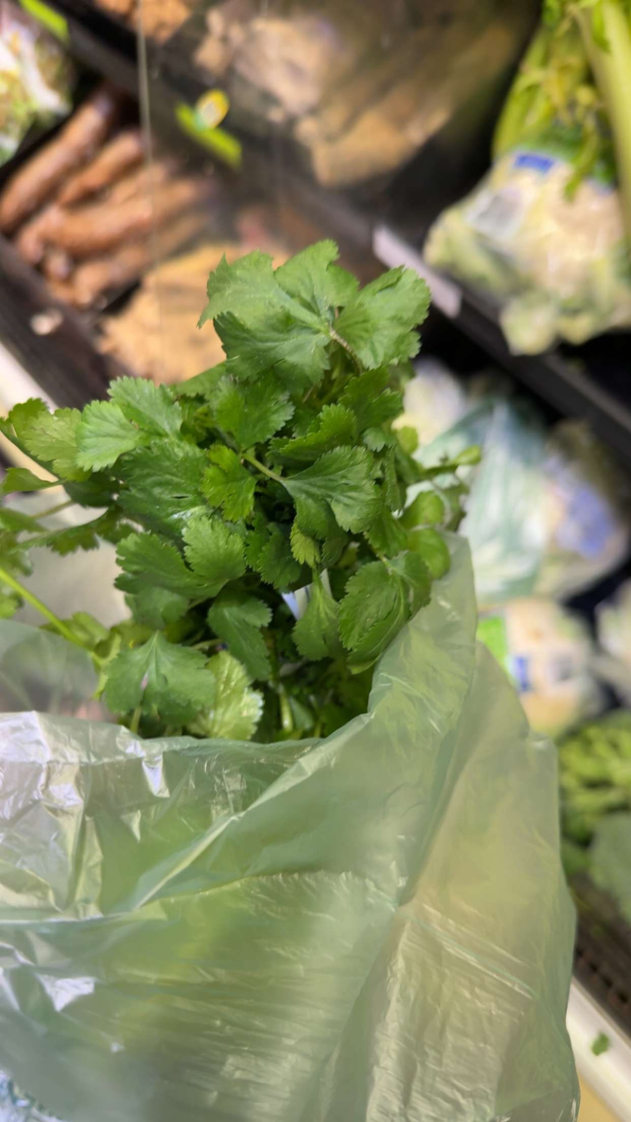 kydoddss snapchat image archive image