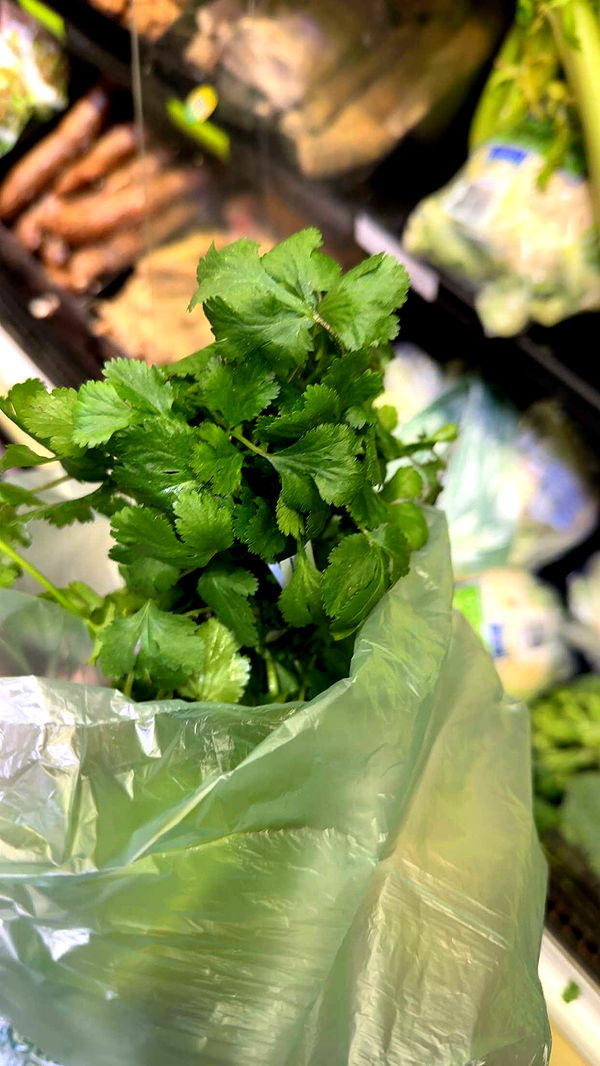 kydoddss image ~ Altpins