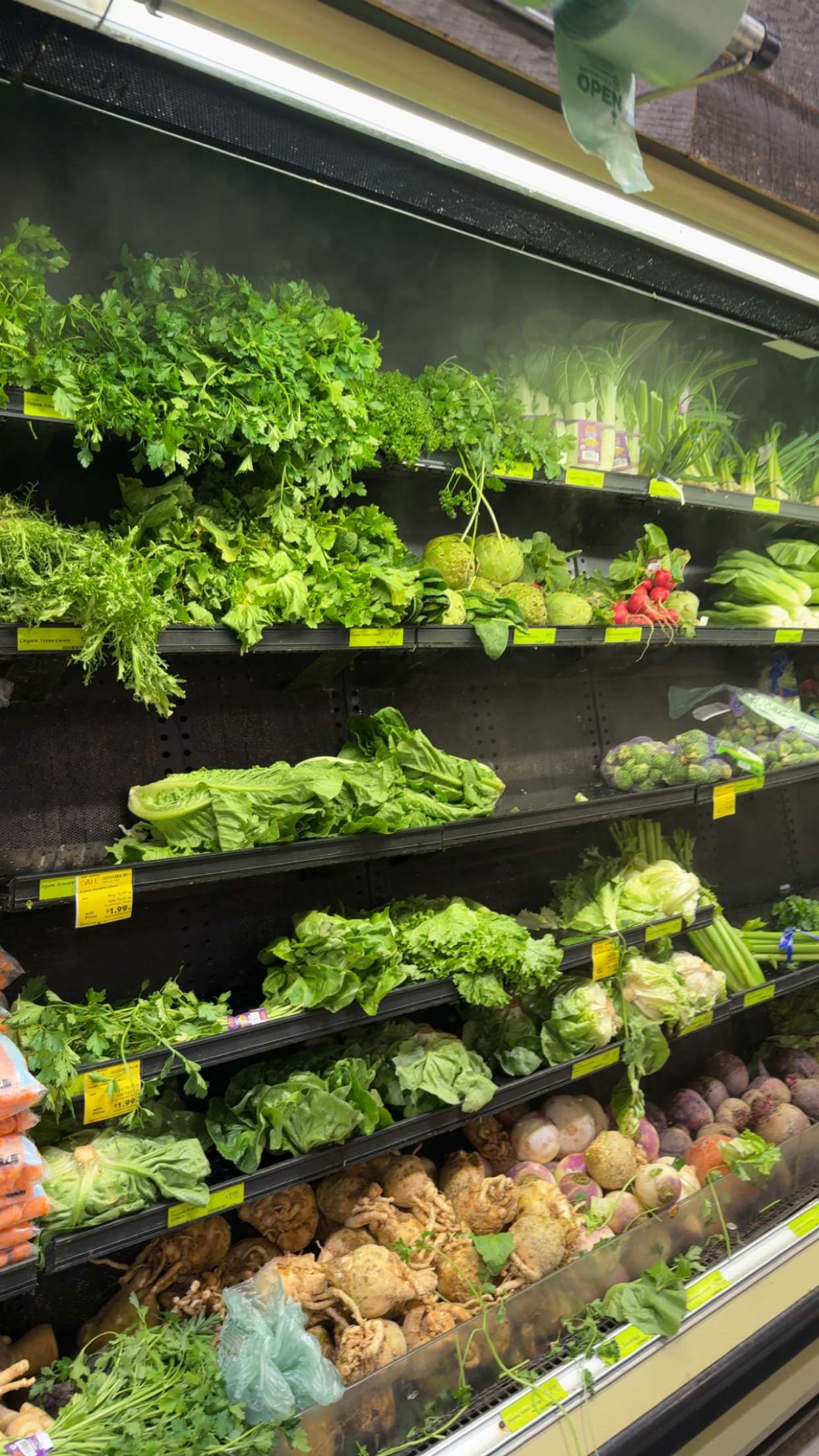 kydoddss snapchat image archive image