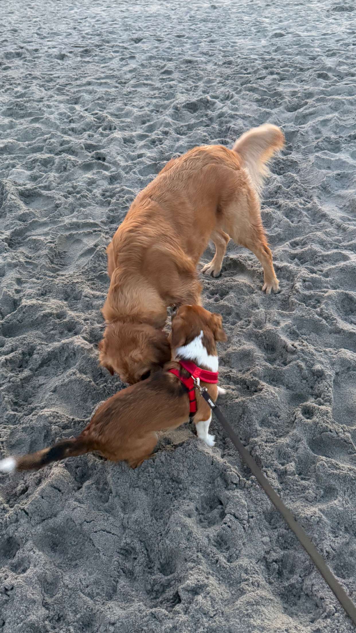 kydoddss snapchat image archive image