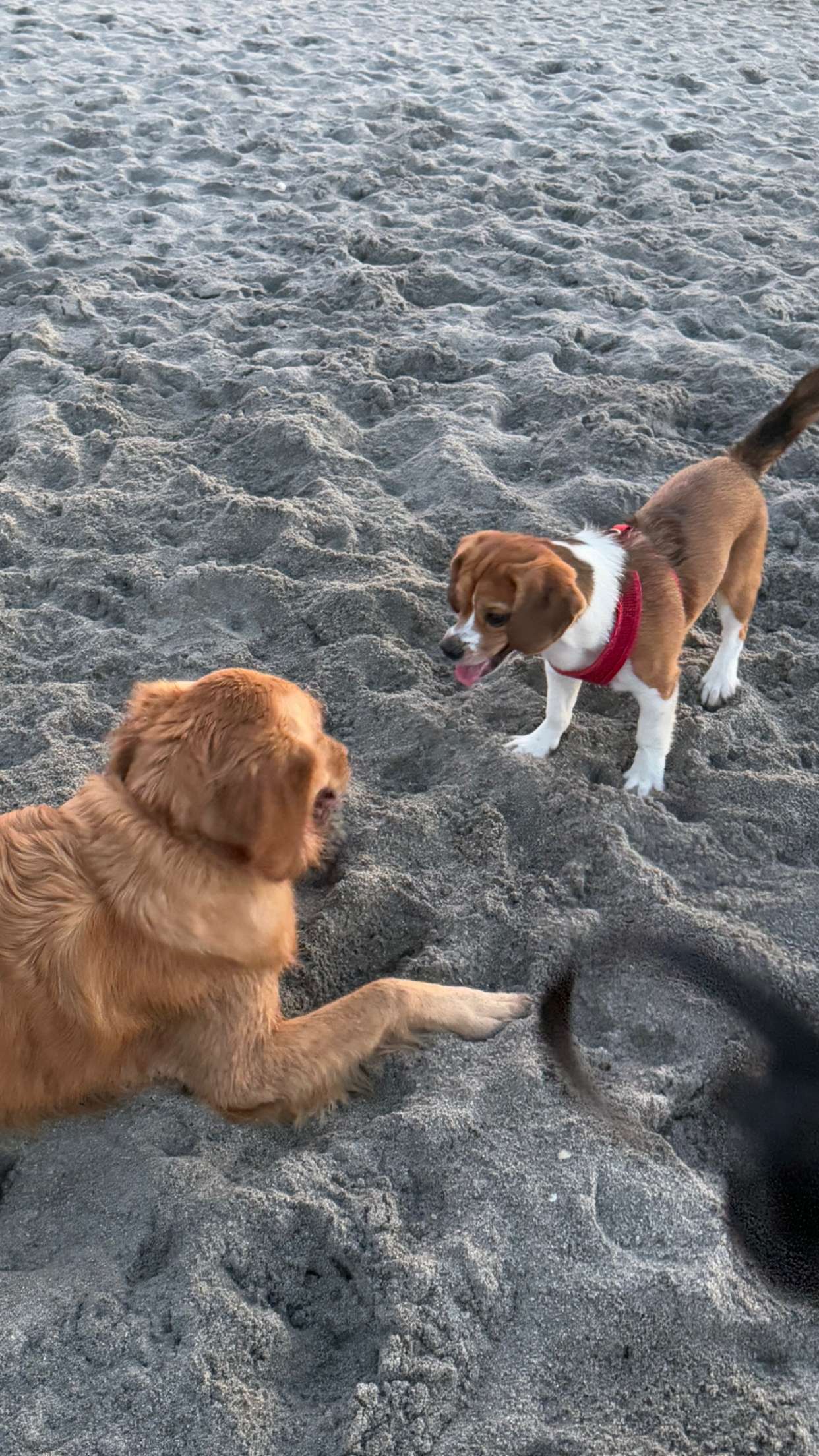 kydoddss snapchat image archive image