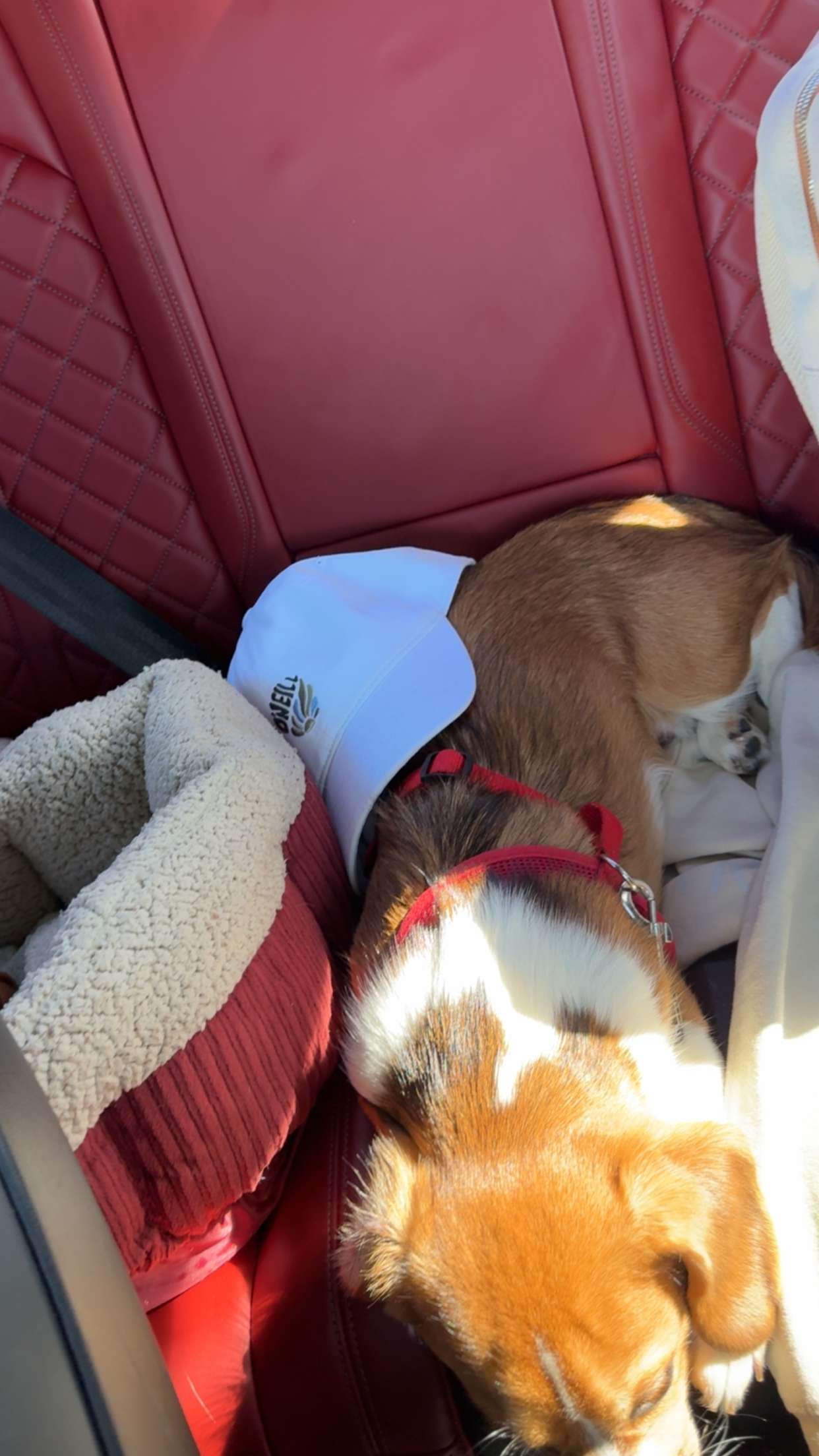 kydoddss snapchat image archive image