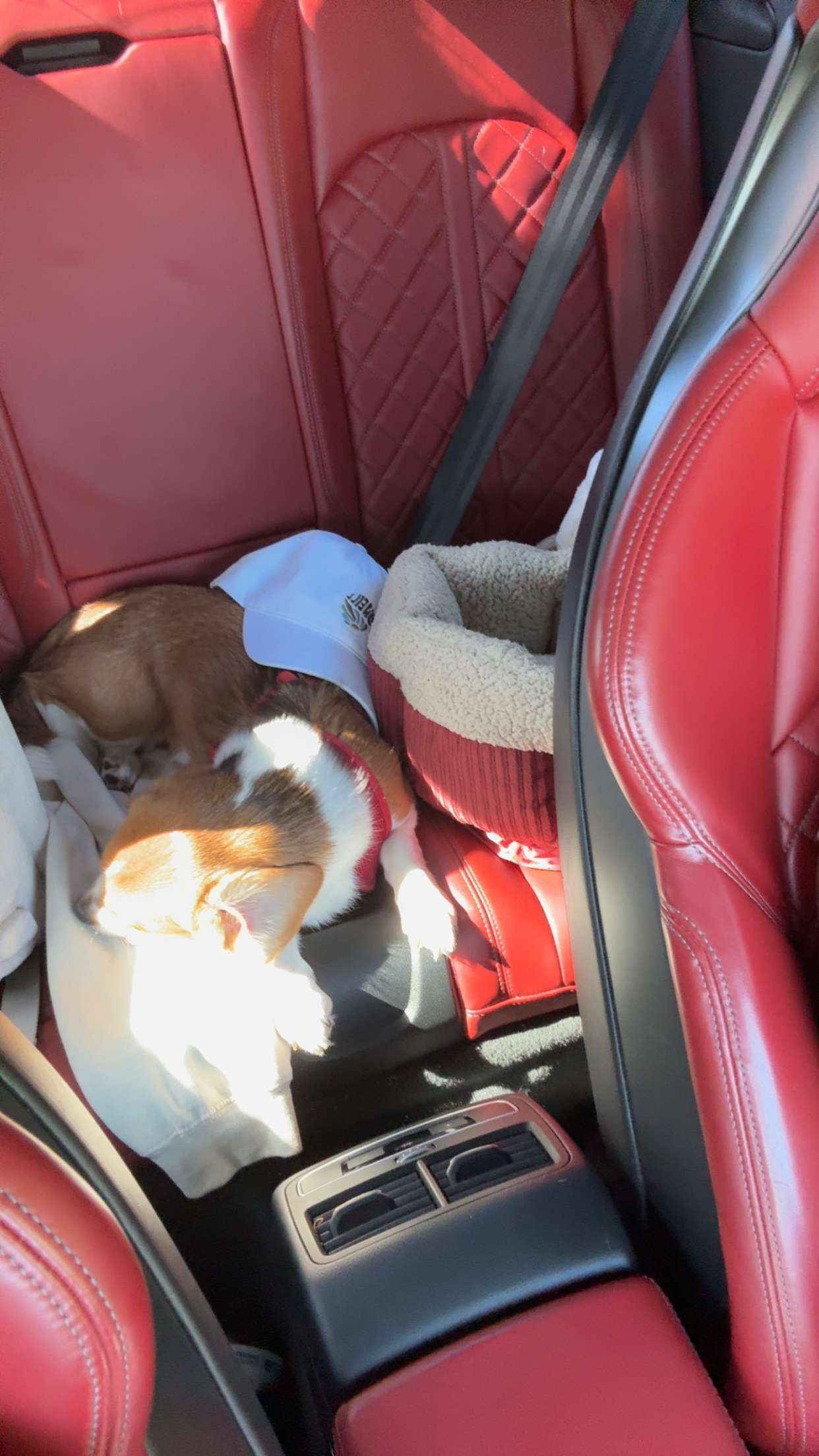 kydoddss snapchat image archive image