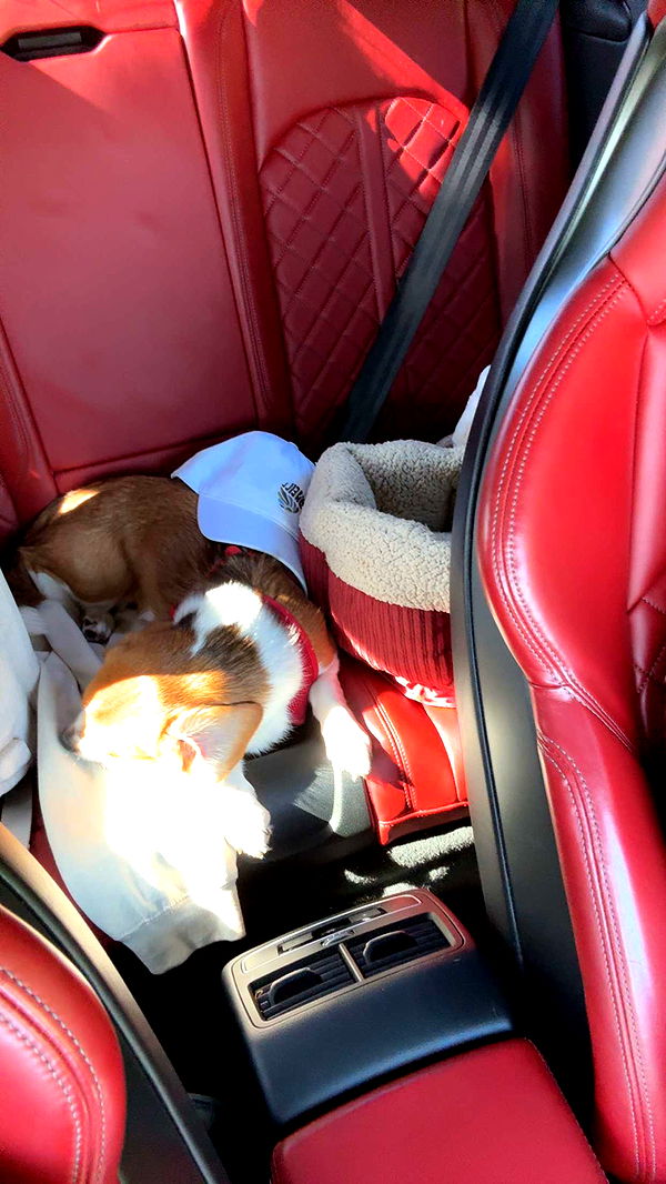 kydoddss image ~ Altpins