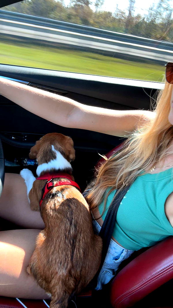 kydoddss image ~ Altpins