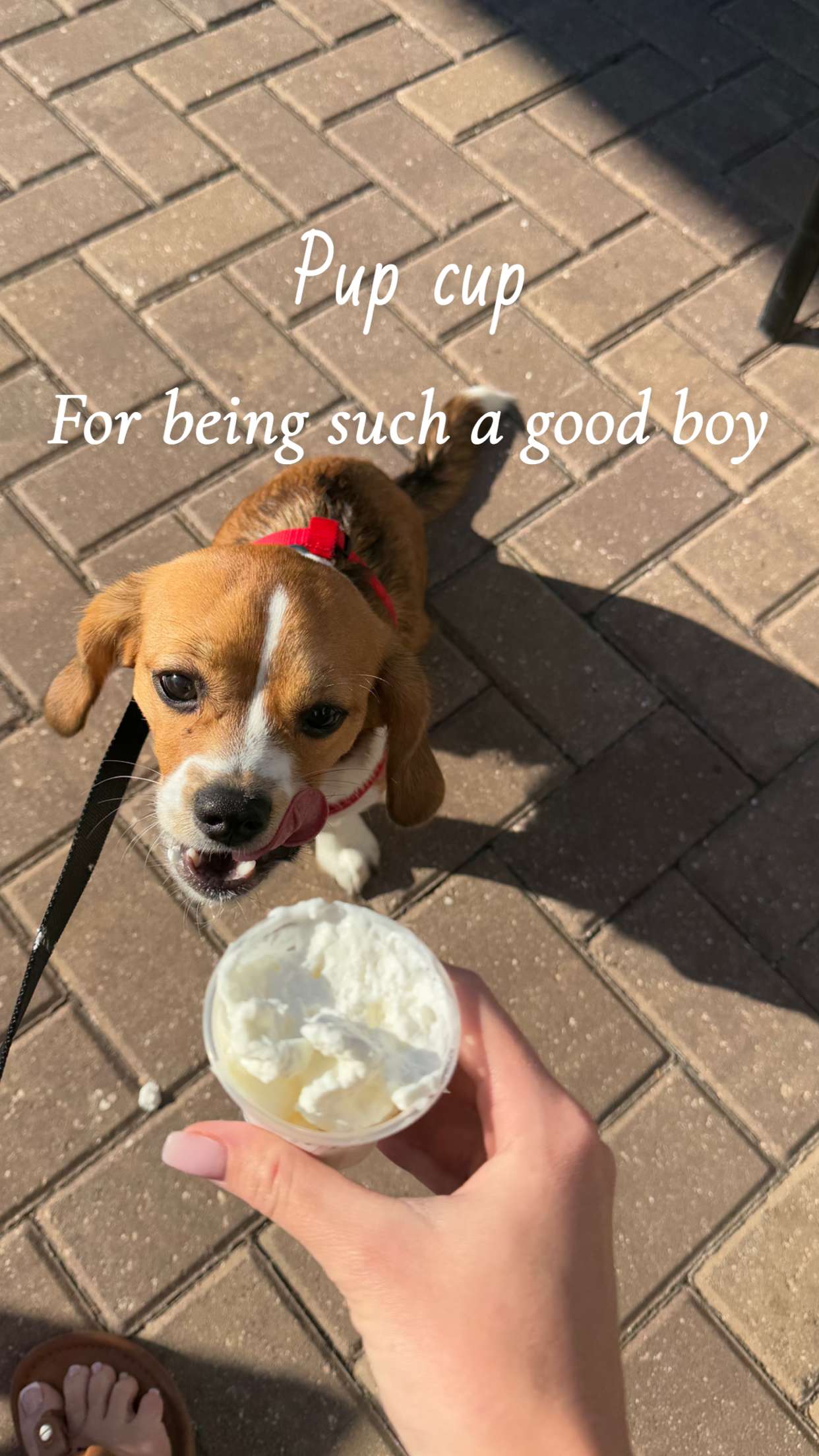 kydoddss snapchat image archive image