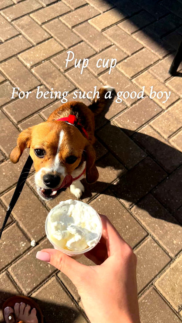 kydoddss image ~ Altpins