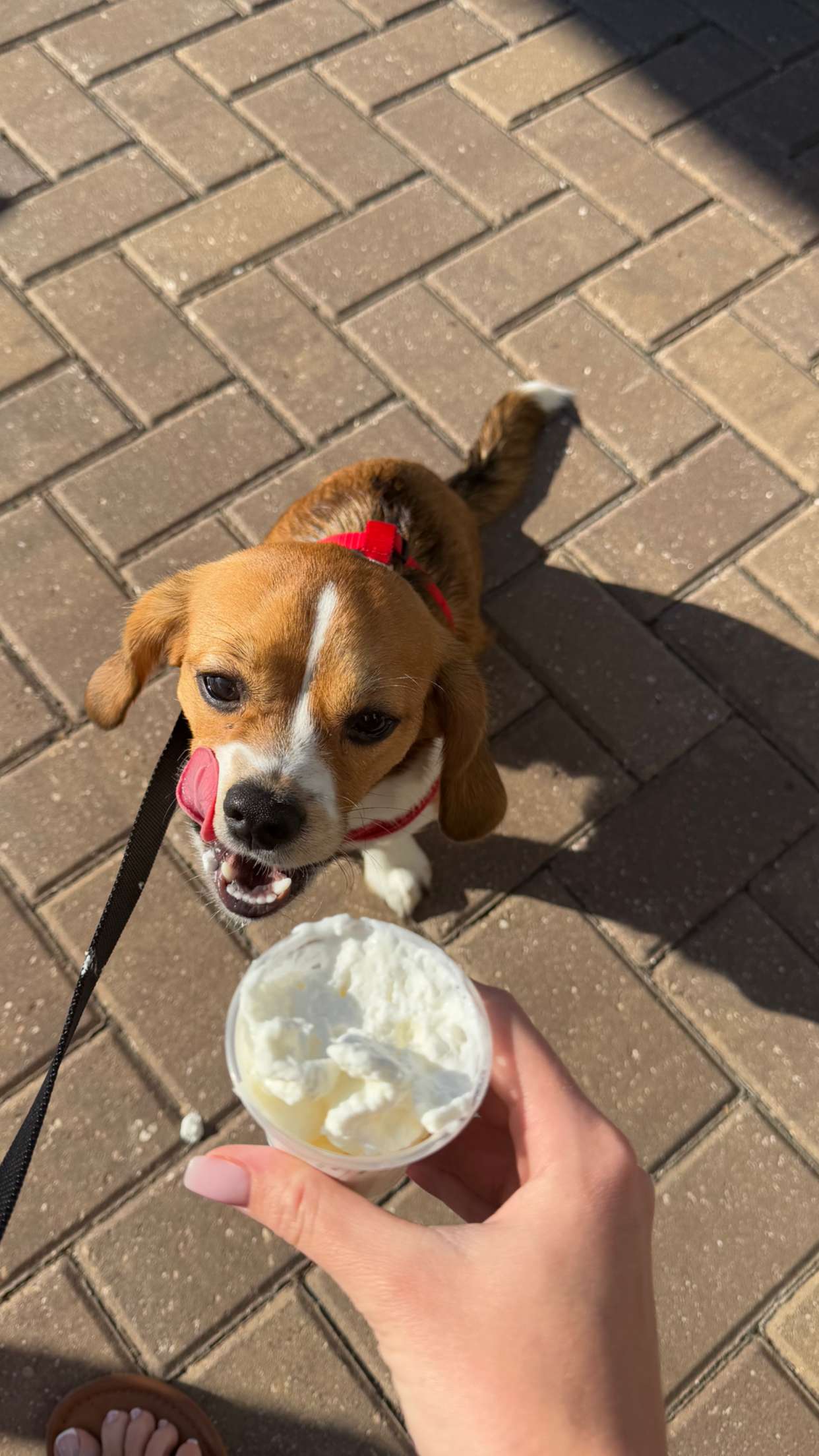 kydoddss snapchat image archive image