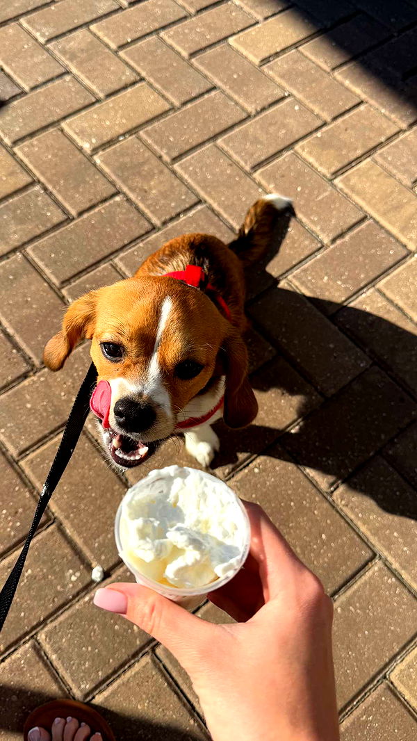 kydoddss image ~ Altpins