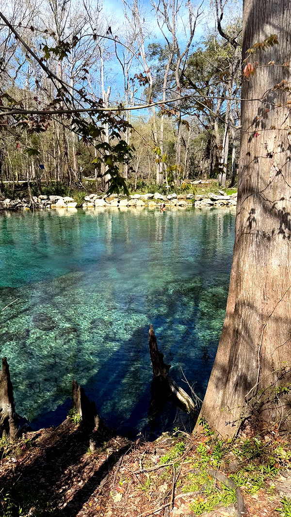 kydoddss image ~ Altpins