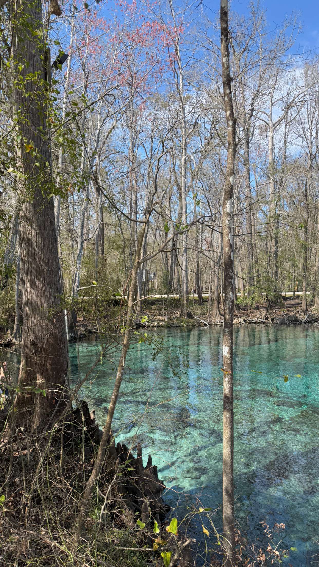 kydoddss snapchat image archive image