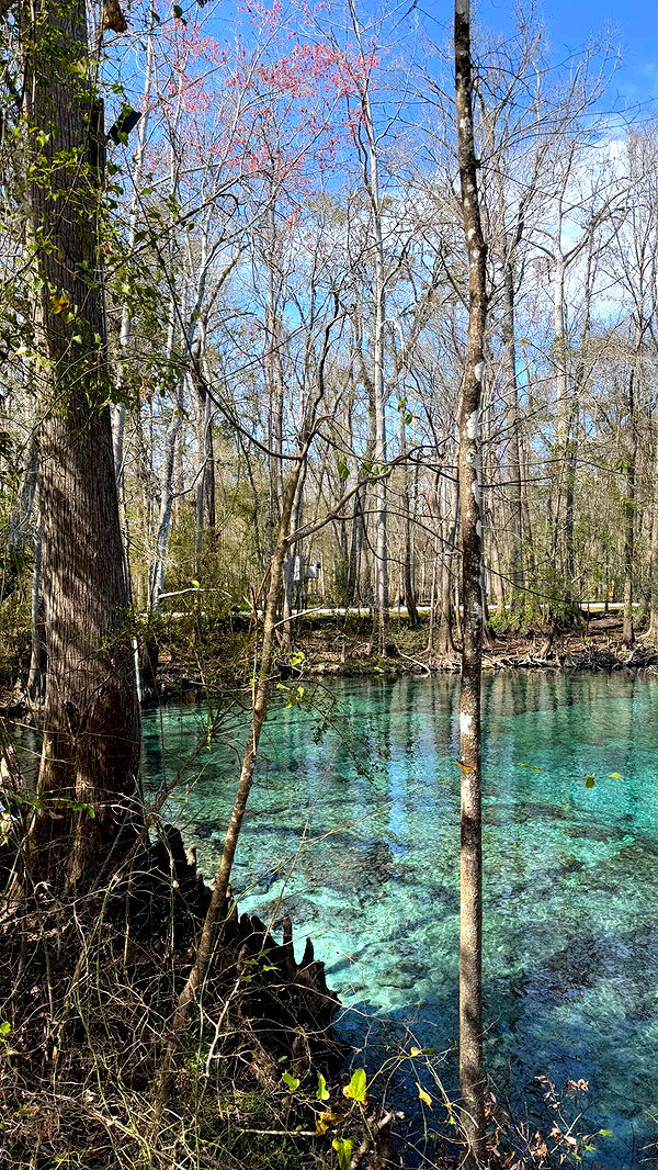 kydoddss image ~ Altpins