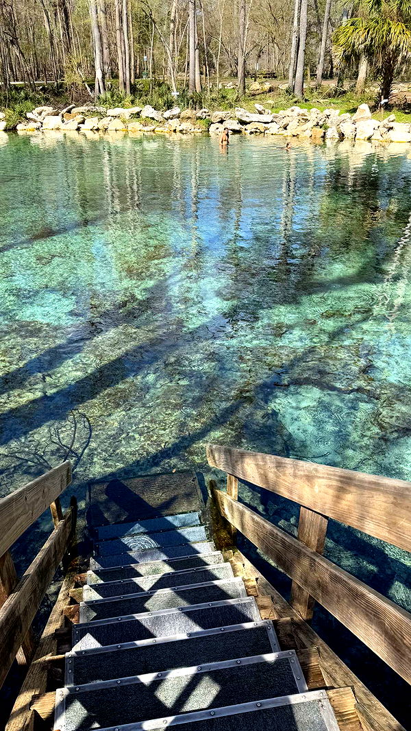 kydoddss image ~ Altpins