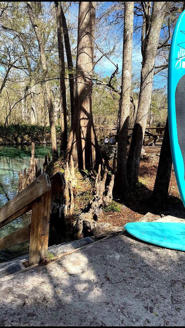 kydoddss image ~ Altpins