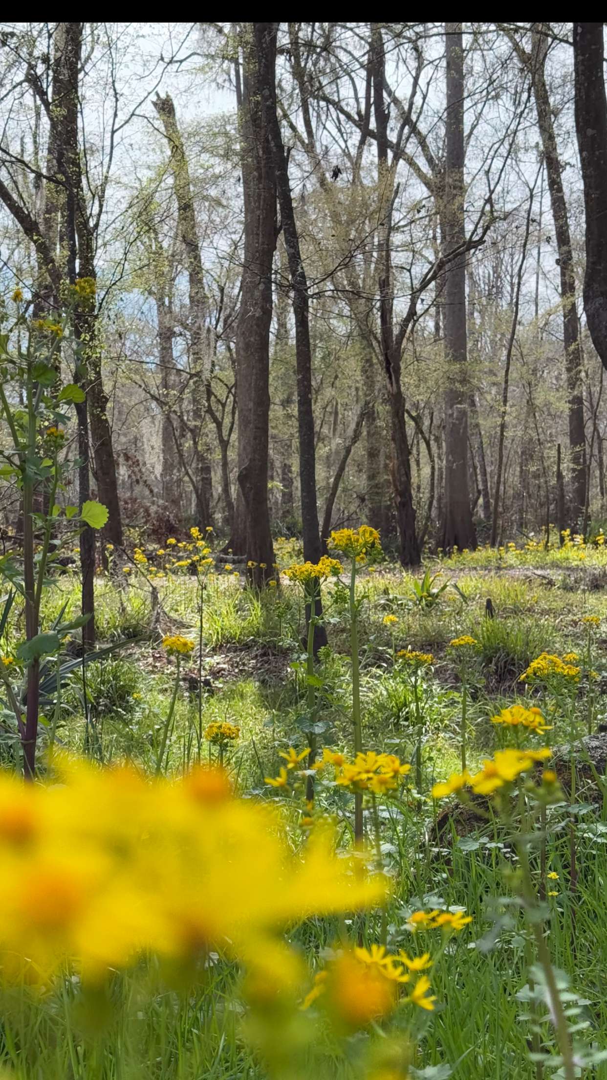 kydoddss snapchat image archive image