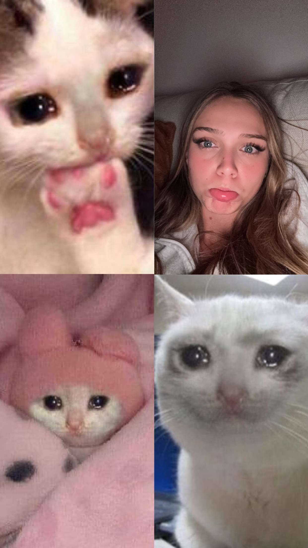 kydoddss snapchat image archive image