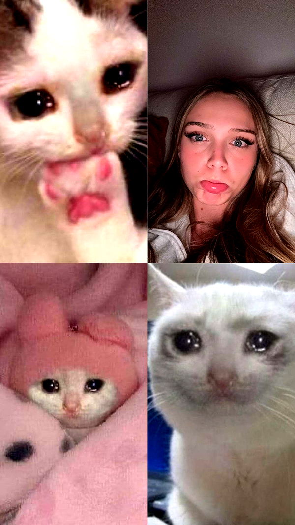 kydoddss image ~ Altpins