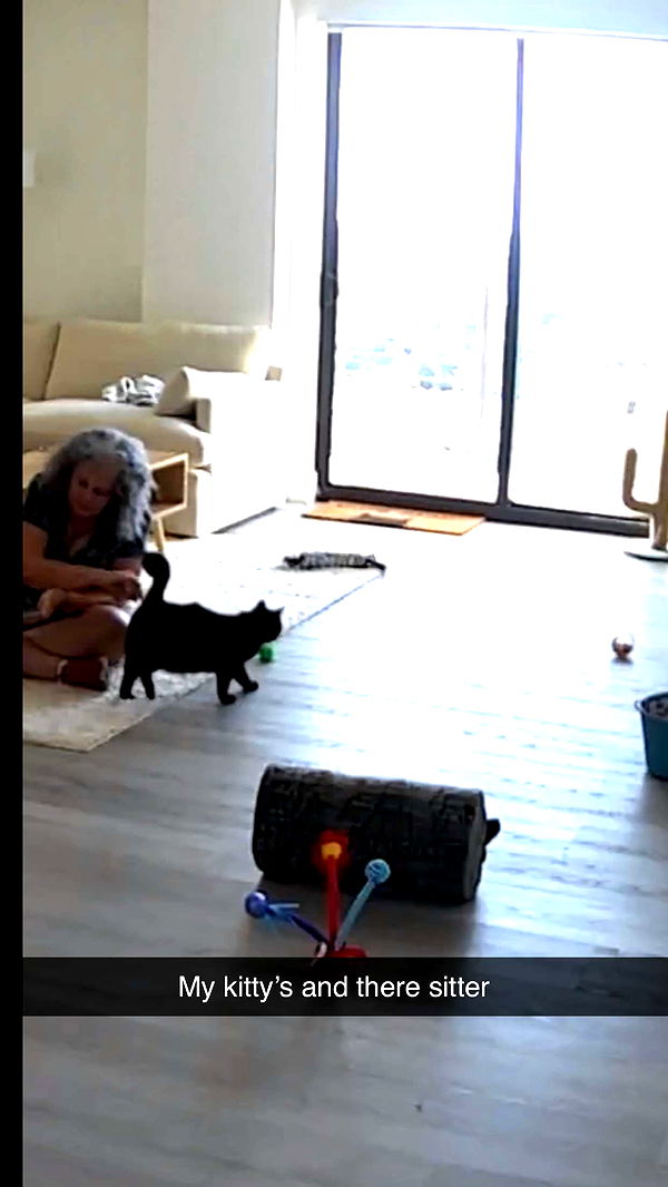 kydoddss image ~ Altpins