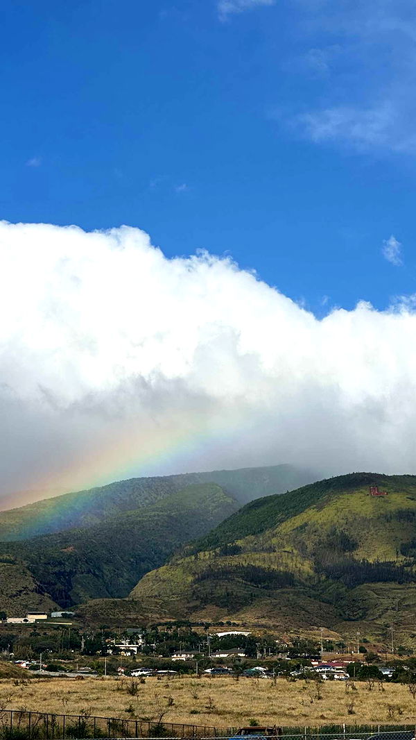 kydoddss image ~ Altpins