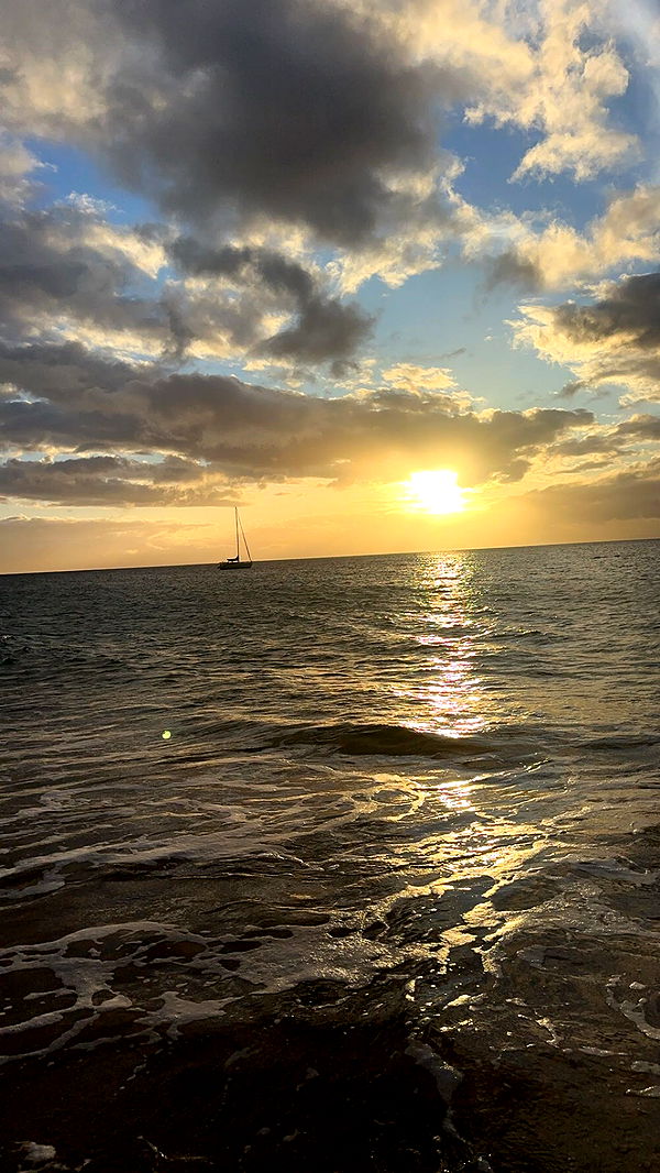 kydoddss image ~ Altpins