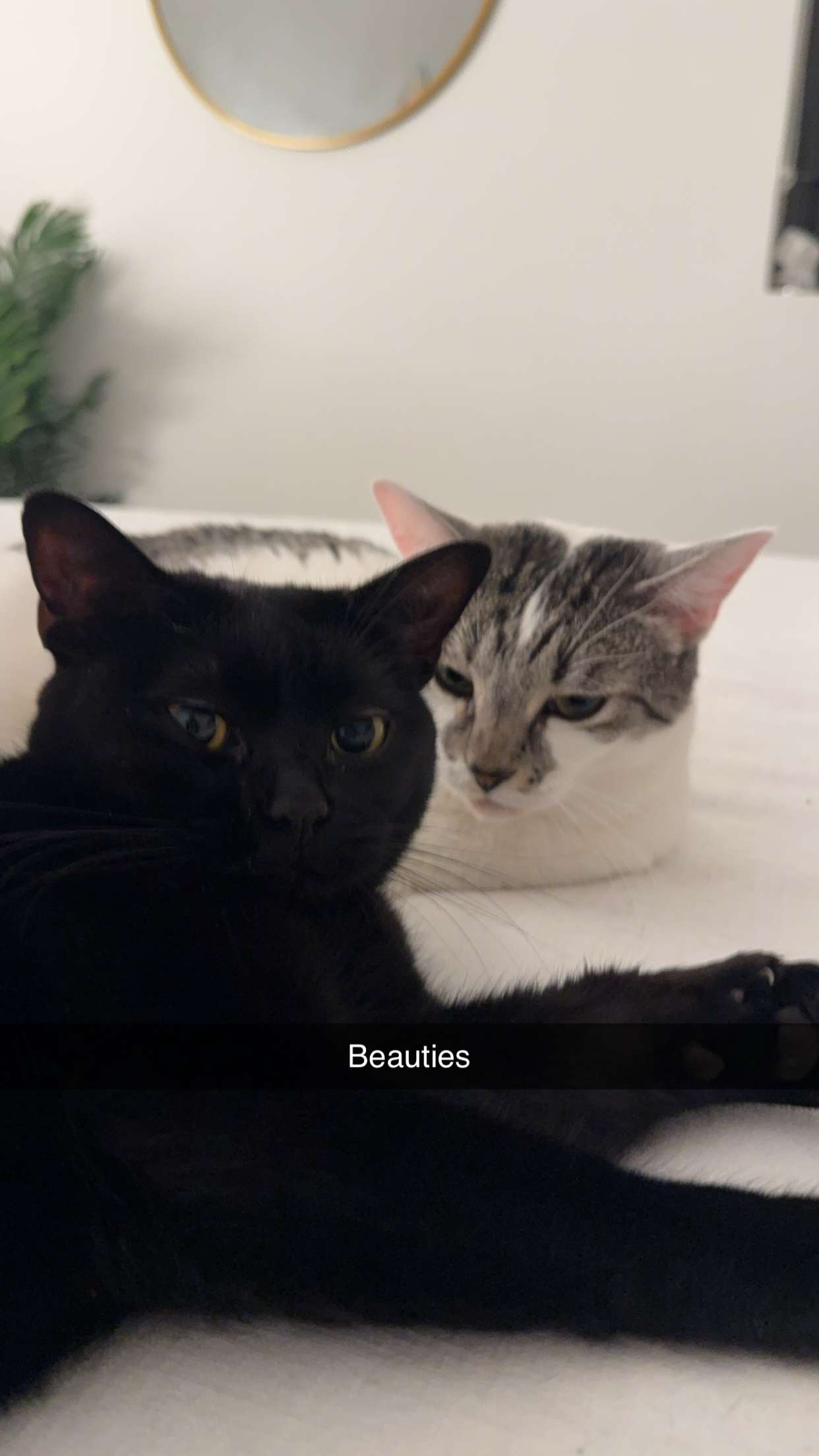 kydoddss snapchat image archive image