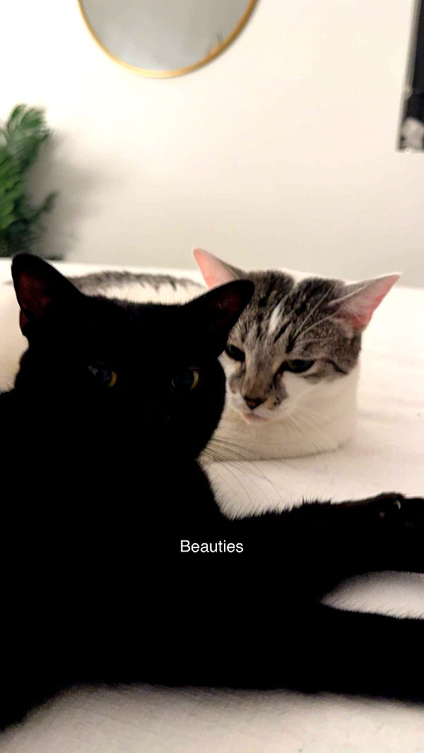 kydoddss image ~ Altpins