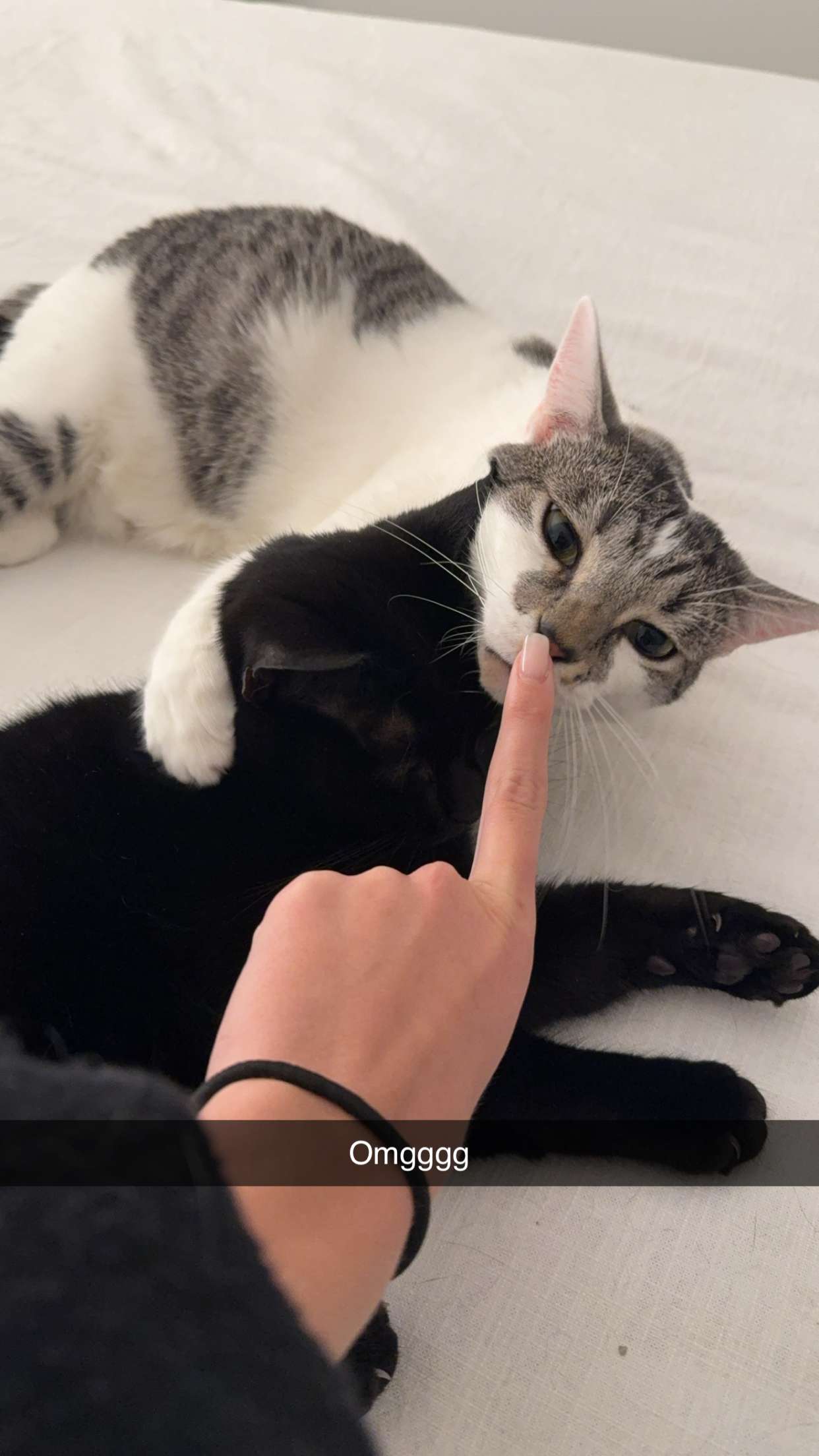 kydoddss snapchat image archive image