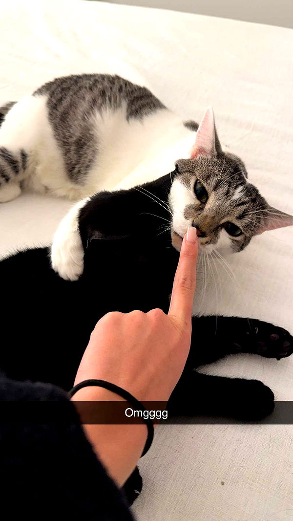 kydoddss image ~ Altpins