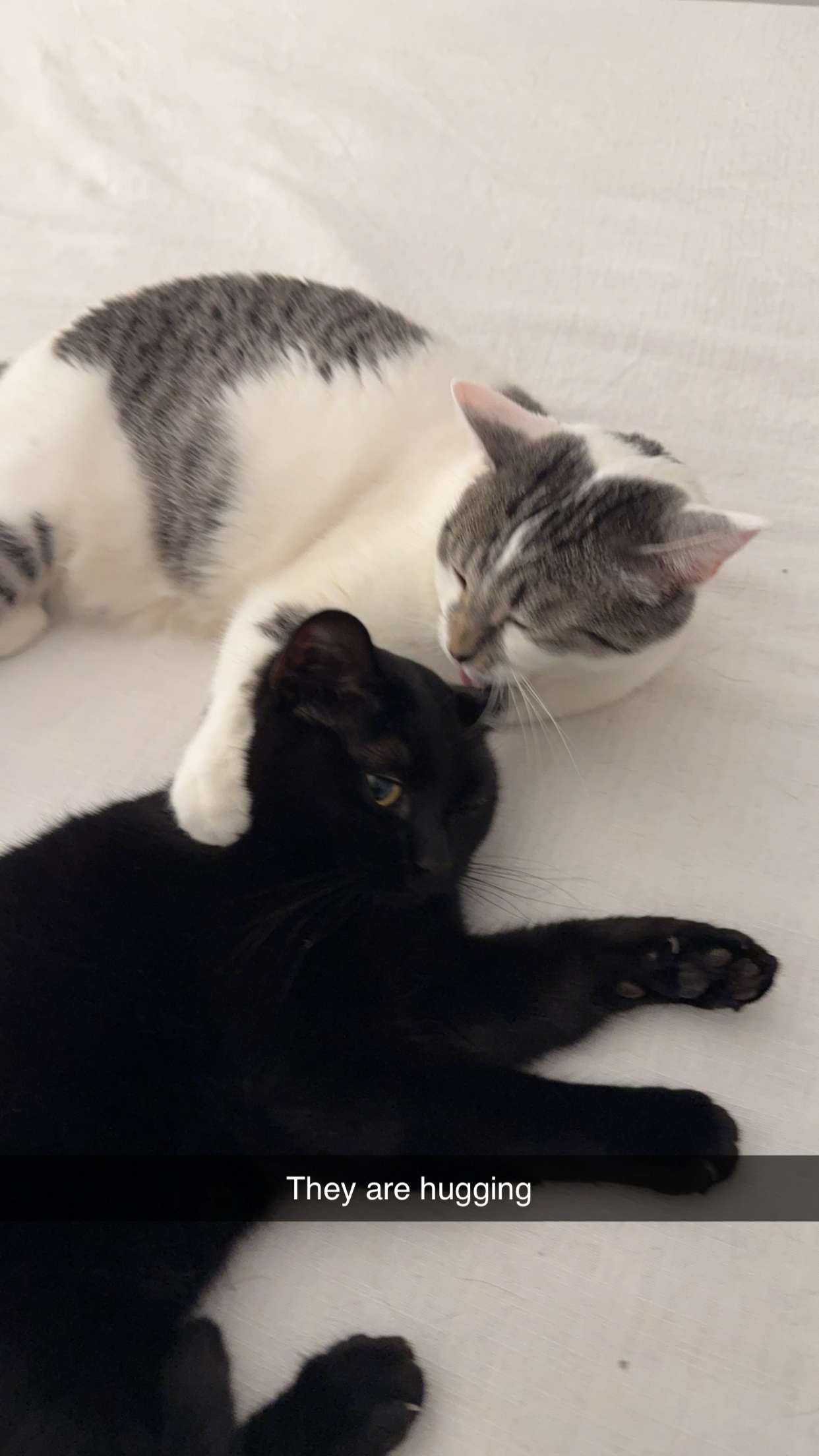 kydoddss snapchat image archive image