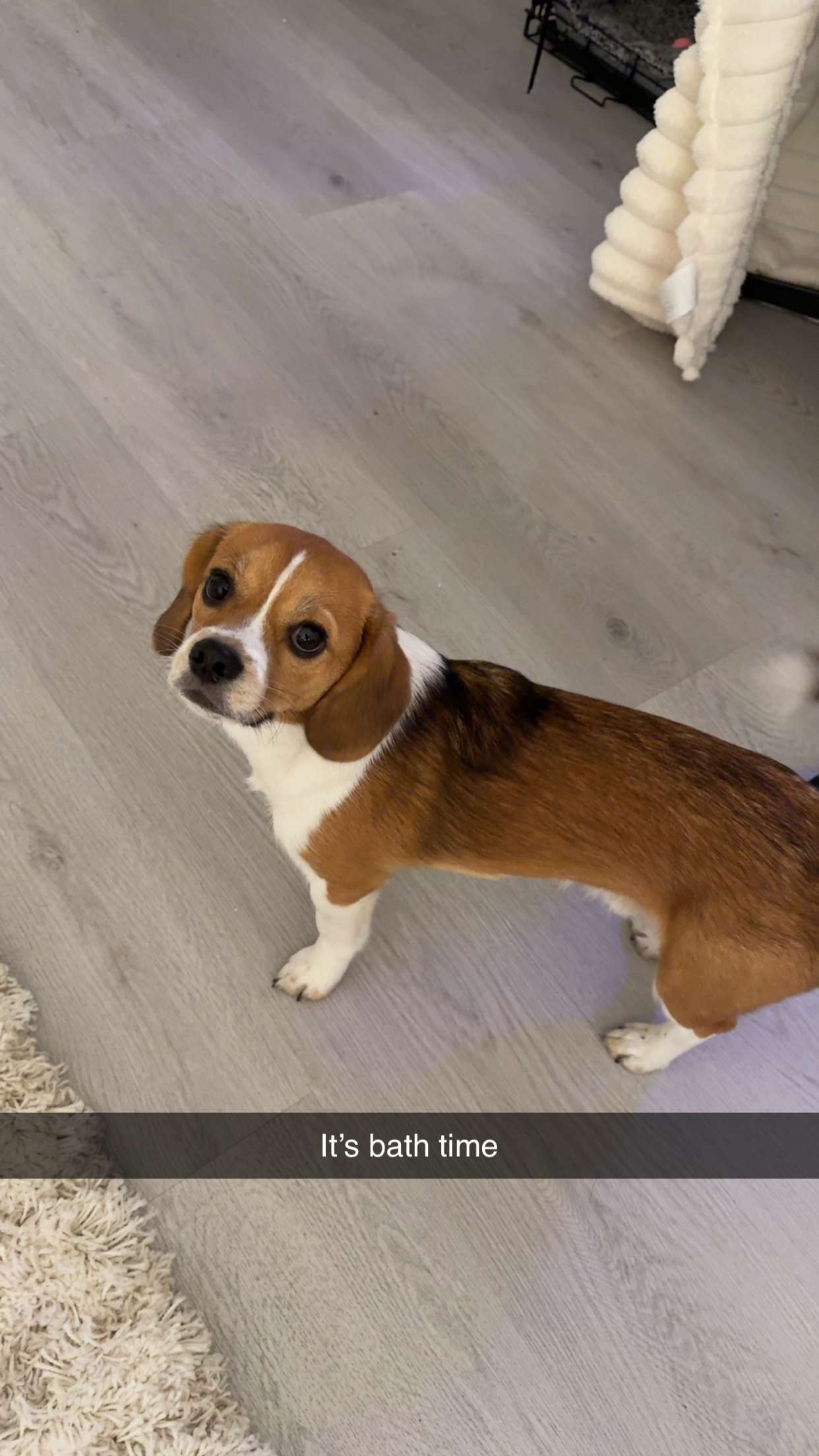 kydoddss snapchat image archive image