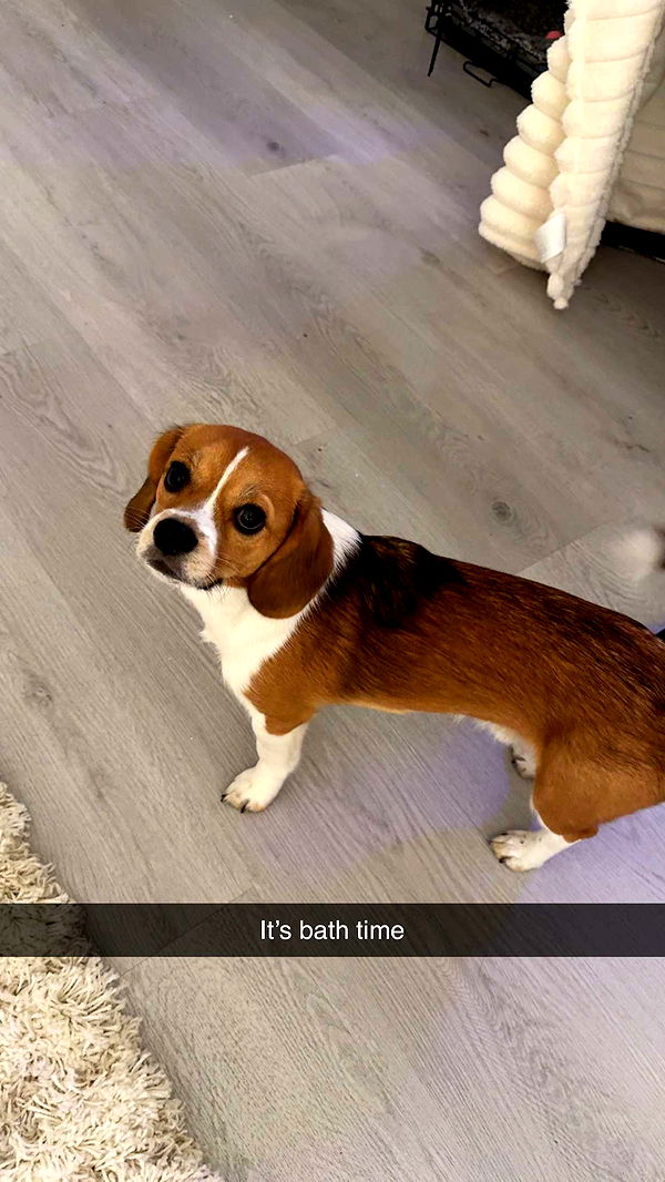 kydoddss image ~ Altpins