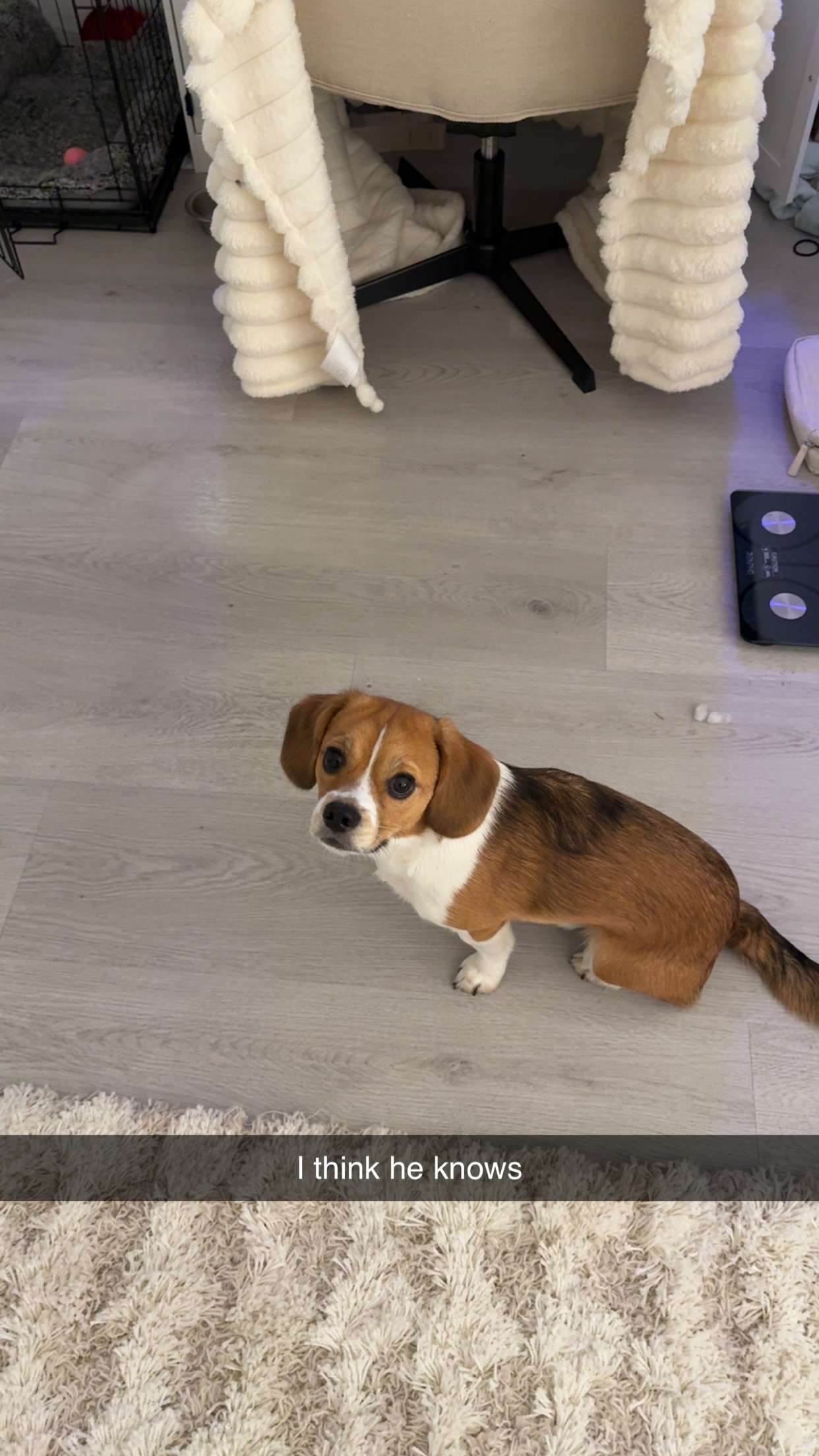 kydoddss snapchat image archive image