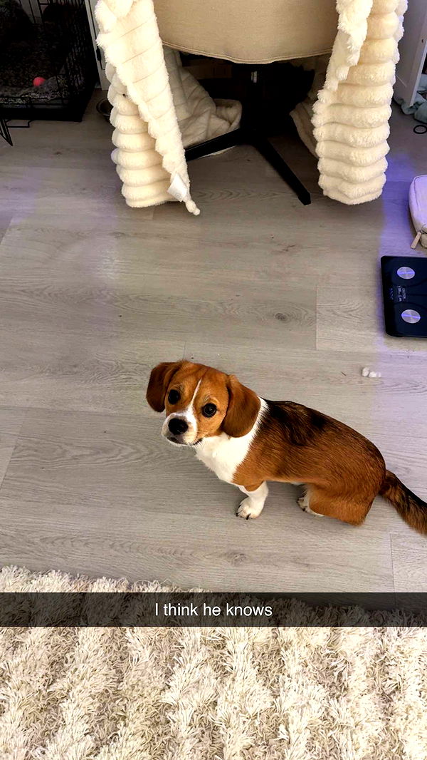 kydoddss image ~ Altpins