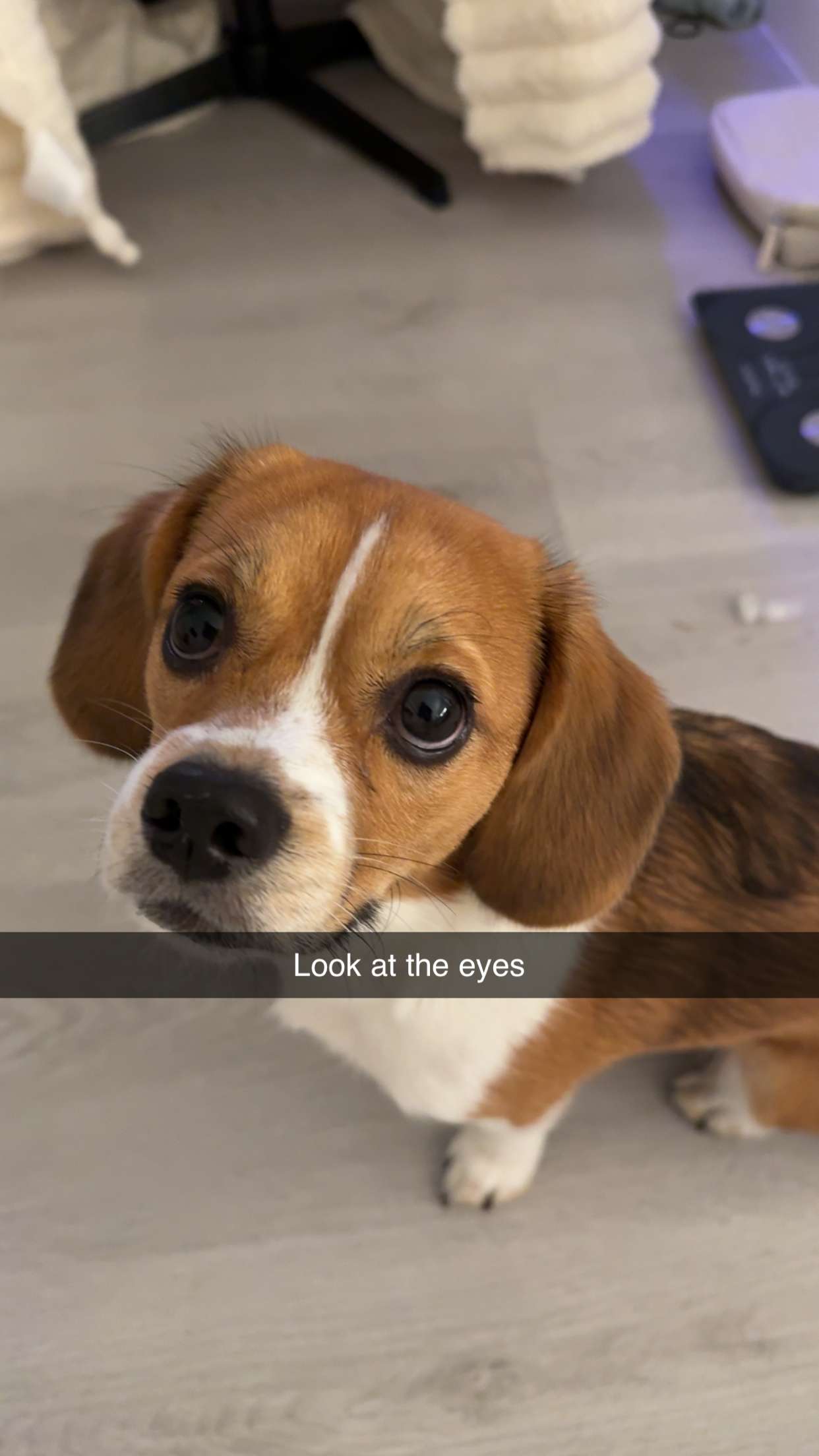 kydoddss snapchat image archive image