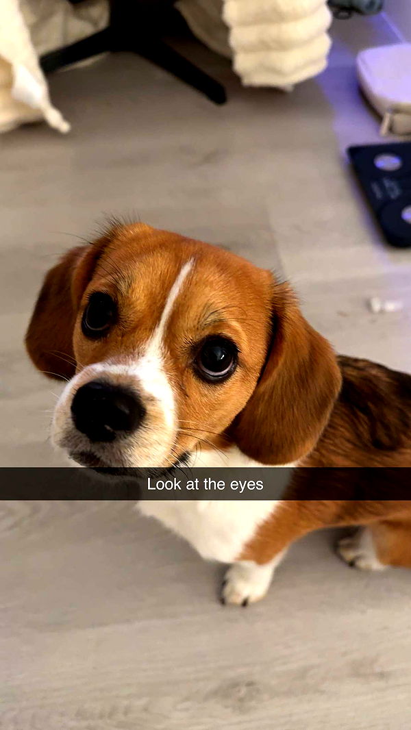 kydoddss image ~ Altpins