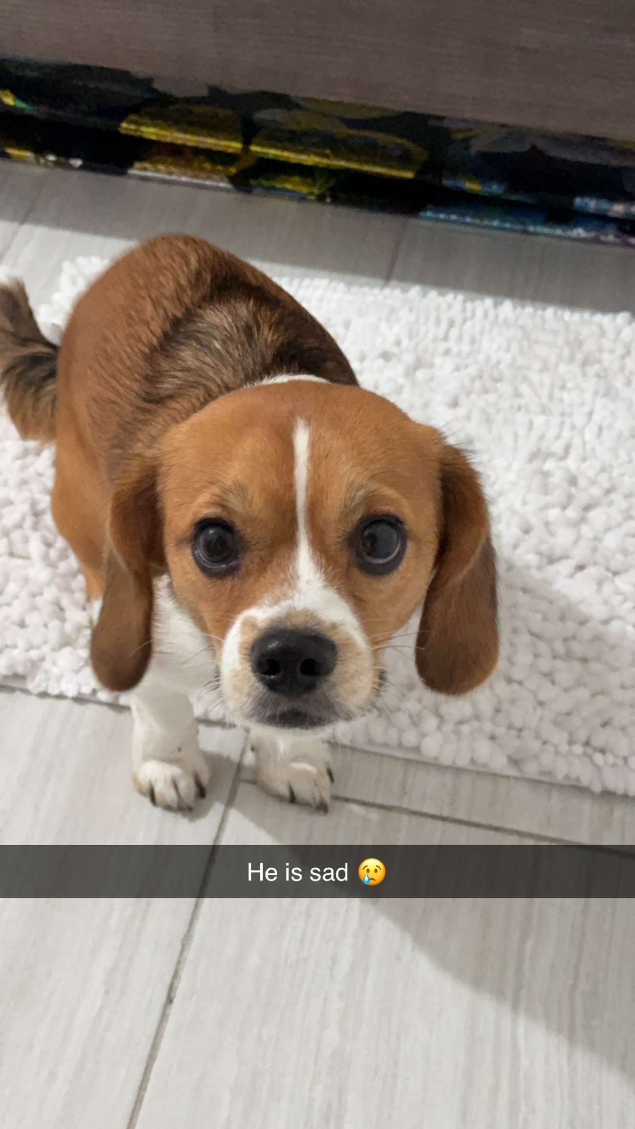 kydoddss snapchat image archive image