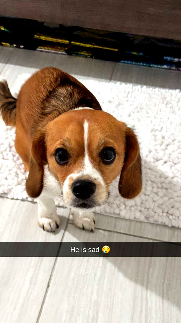 kydoddss image ~ Altpins