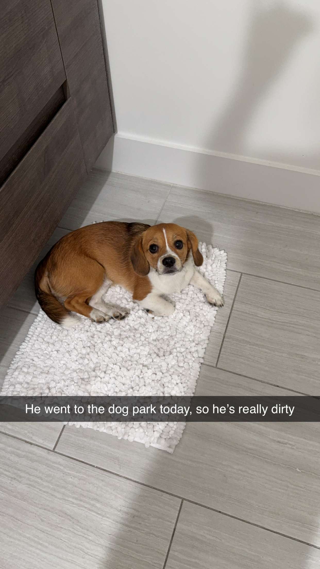 kydoddss snapchat image archive image