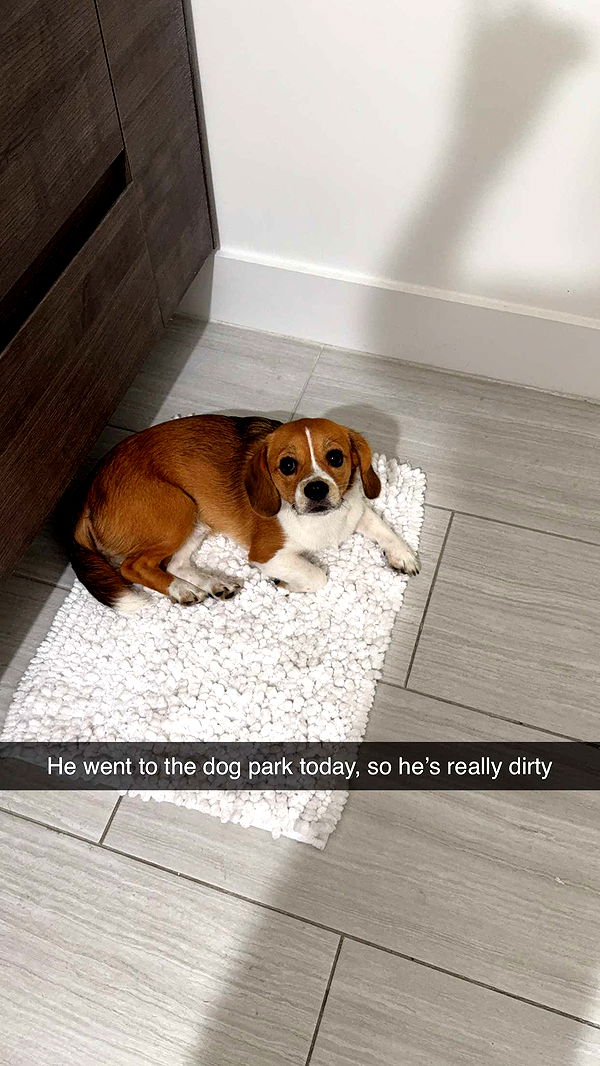 kydoddss image ~ Altpins