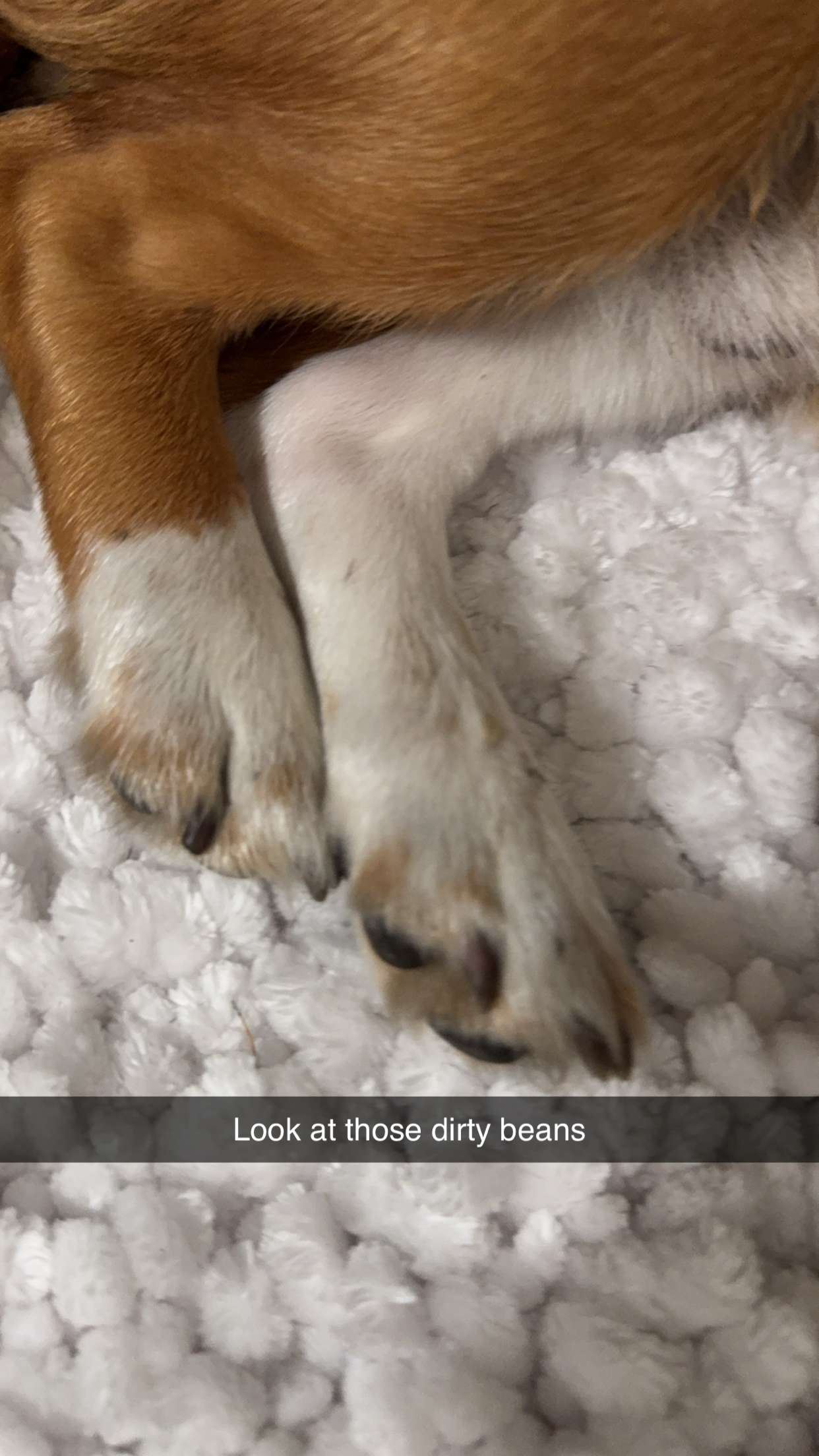 kydoddss snapchat image archive image