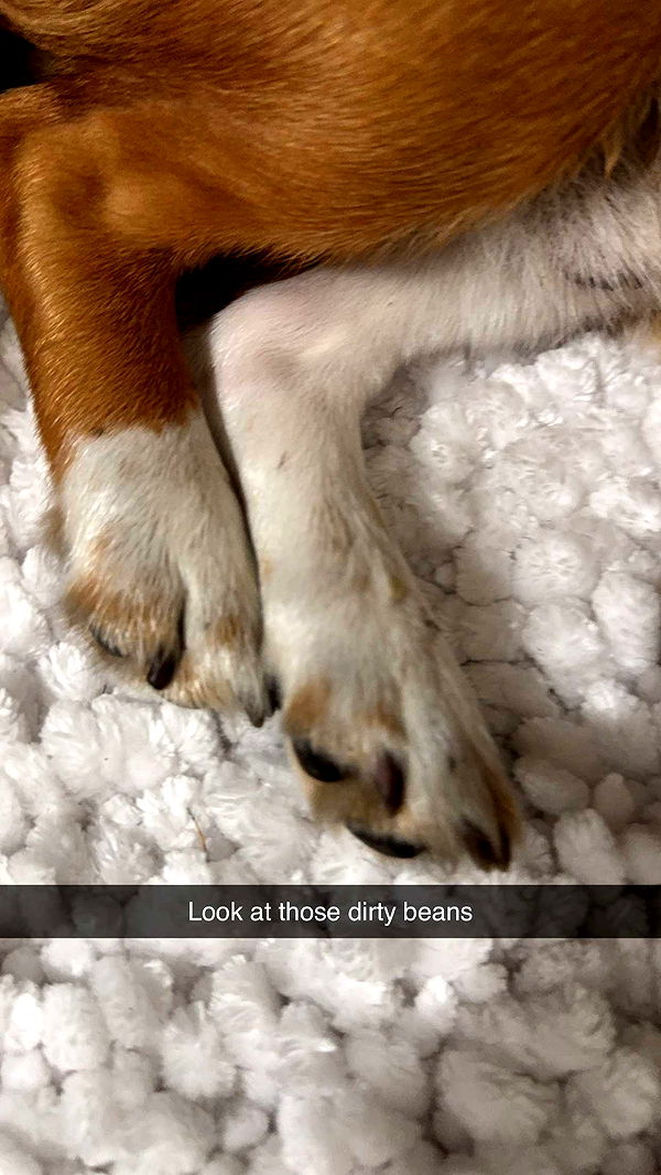 kydoddss image ~ Altpins