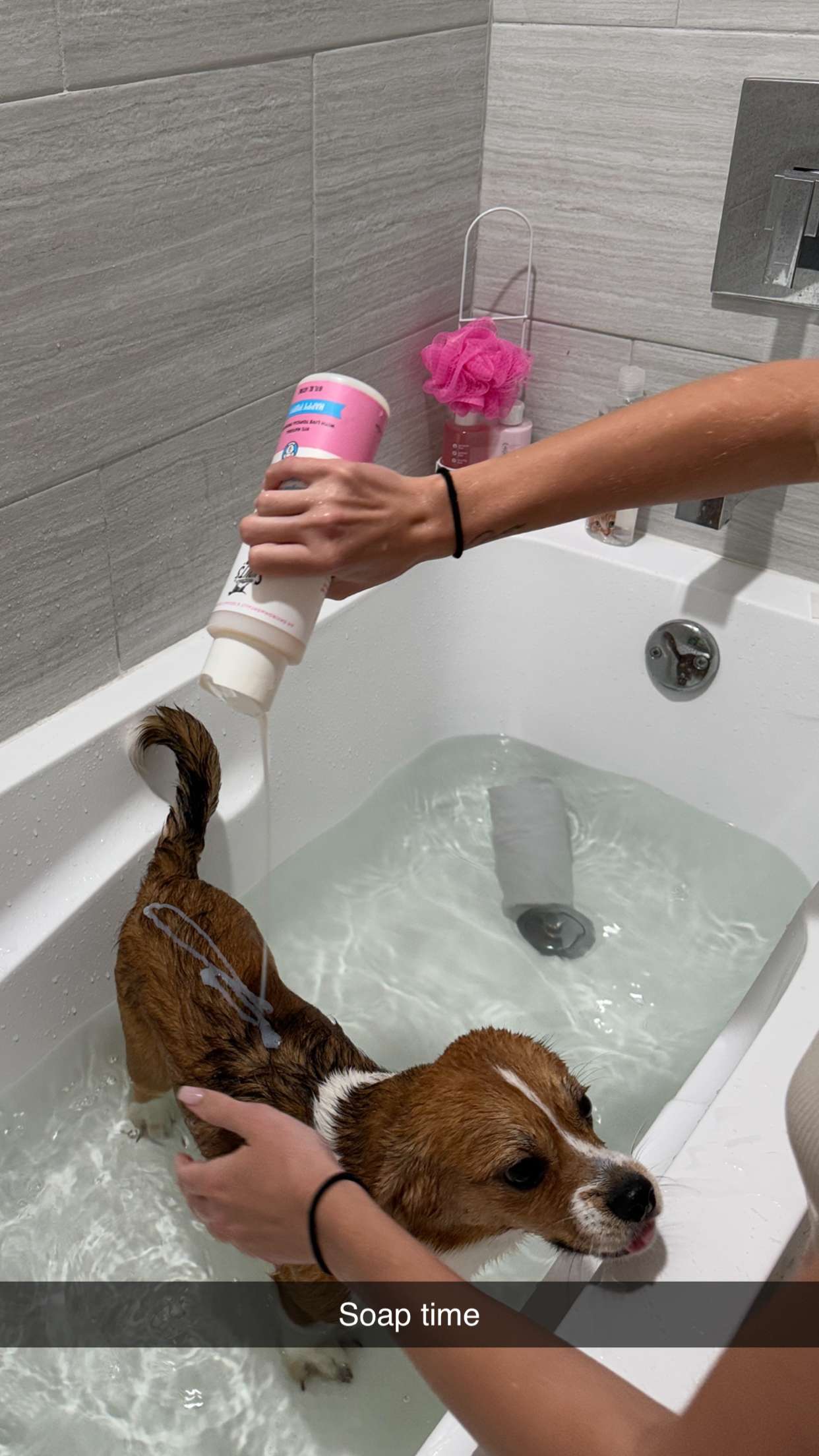 kydoddss snapchat image archive image