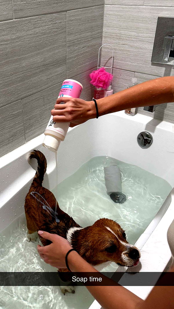 kydoddss image ~ Altpins