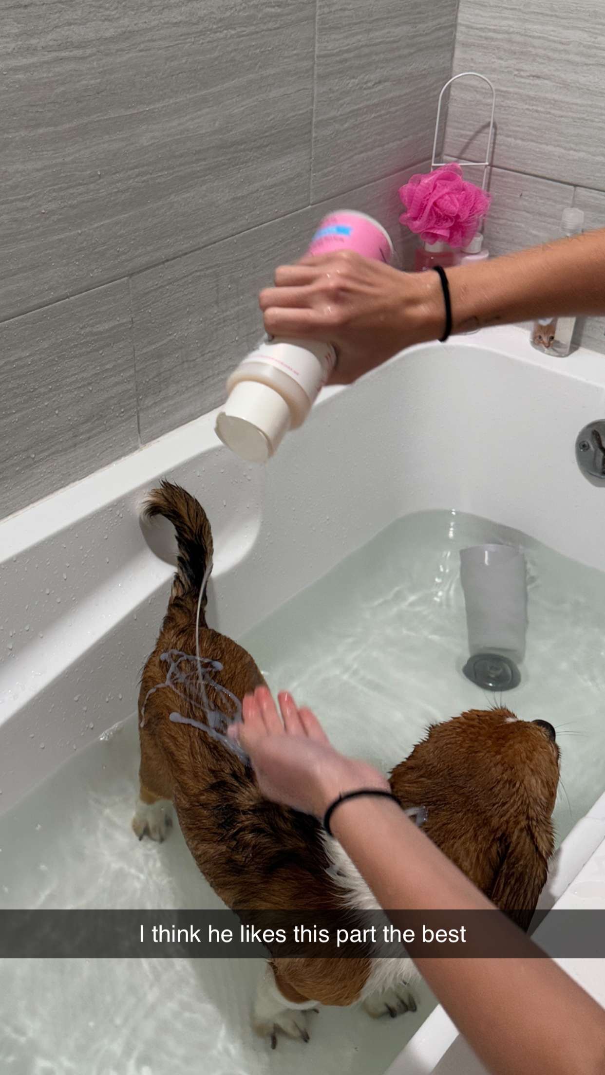 kydoddss snapchat image archive image