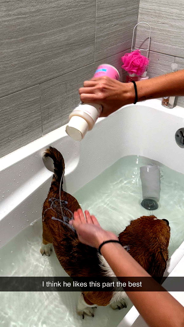 kydoddss image ~ Altpins